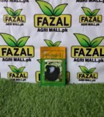 Buy Hybrid Eggplant No. 3715 Seeds Online in Pakistan