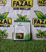 Buy Seminis Hybrid Tomato Seeds in Pakistan