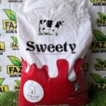 Sargham Sudan Grass | highlights quality Livestock Forage