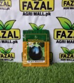 Cropsy Hybrid Eggplant Seeds (بینگن کے بیج) for Pakistan - High Yield, Disease Resistant | Fazal Agri Mall