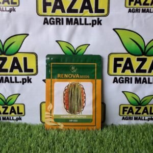 Hybrid Hot Pepper HP 555 Seeds | 50g Packet | High-Yield, Extra-Spicy Chili Seeds 
