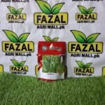 Green Cover Seeds Hybrid Okra NAYZA F1