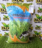 Buy Hybrid Sorghum Seeds in Pakistan