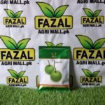 Hybrid Bottle Gourd Seeds - AZAD F1