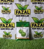 Hybrid Bottle Gourd Seeds - AZAD F1