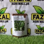 INBAAT SEEDS Hybrid Okra 101 | 50g Packet | High-Yield, Disease-Resistant Bhindi Seeds