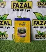 Cropsy Hybrid Eggplant Seeds for Sale in Pakistan