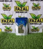 Rashid Seeds Patonal