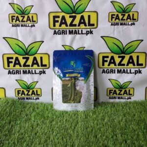 Rashid Seeds Patonal And Reliable Hybrid Seeds | 50gram Packet