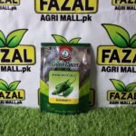 Buy Hybrid Green Chilli Seeds in Pakistan