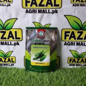 Buy Hybrid Green Chilli Seeds in Pakistan