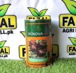 Hybrid Beetroot Red Blood F1-Resistant Seeds in Pakistan