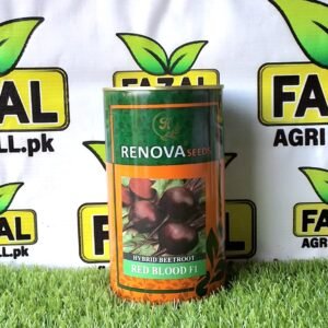 Renova Seeds Hybrid Beetroot Red Blood F1-Resistant Beetroot Seeds | 50gram