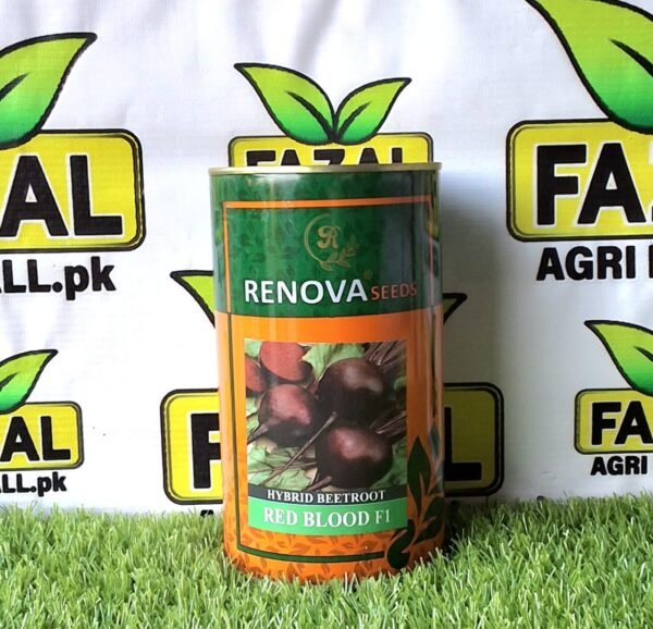 Hybrid Beetroot Red Blood F1-Resistant Seeds in Pakistan