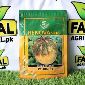 Hybrid Pumpkin PY- 002 F1 Seeds for Pakistani Farms & Gardens | 50gram Packet