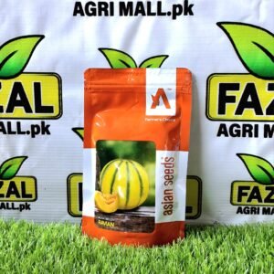 Ravian Musk Melon (100g) pack