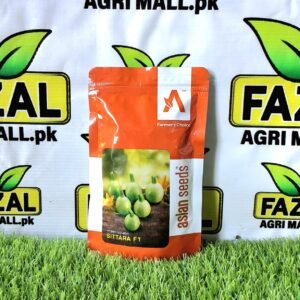 Hybrid Squash Sitara F1 (100g)