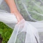 "Anti Crop Insect Net (1kg) – Premium Crop Protection Mesh for Pakistani Farms – UV Stabilized" - Image 2