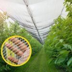 "Anti Crop Insect Net (1kg) – Premium Crop Protection Mesh for Pakistani Farms – UV Stabilized" - Image 3
