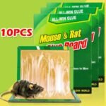 Mouse And Rat Glue Board (10pcs)