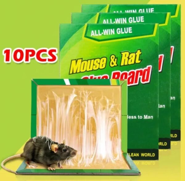 Mouse And Rat Glue Board (10pcs)