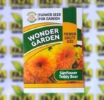 Sunflower Teddy Bear Seeds in Pakistan