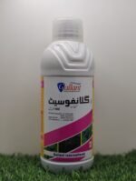 IMG-20250529-WA0023