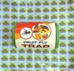 Fruit Fly Trap in Pakistan