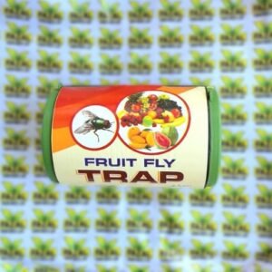 Fruit Fly Trap