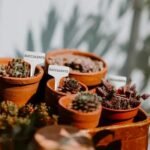 Garden Labels or Tags 10 pcs - Image 3