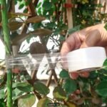 Grafting Tape 1pc - Image 2