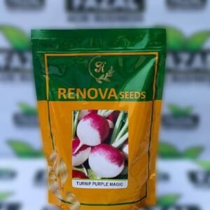 Turnip Purple Magic | 400g