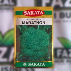 SAKATA Broccoli F1 Hybrid | MARATHON | 10g