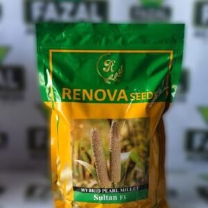 Hybrid Pearl Millet Sultan F1 | 1kg