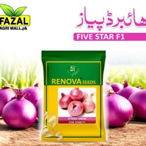 Five Star F1 | Onion 1kg