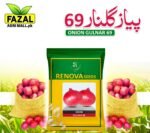 Onion Gulnar 69 Seeds in Pakistan