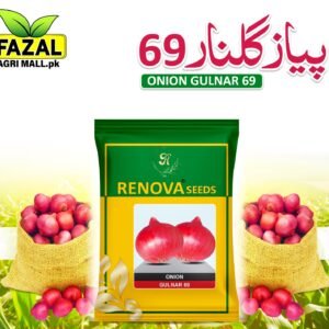 Renova Seed | Onion Gulnar 69 | 1kg