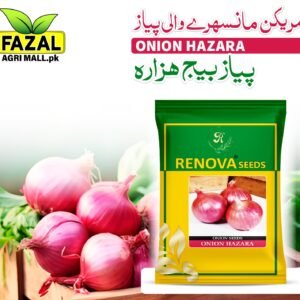 Renova Seed | Onion Hazara | 1kg