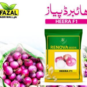 Renova Seed | Heera F1 | 1kg