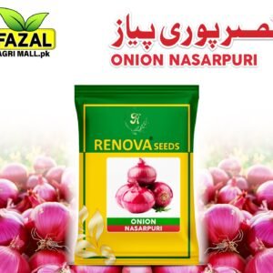 Renova Seed | Onion Nasarpuri Selection | 1kg