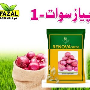 Renova Seed | Onion SWAT-1 | 1kg