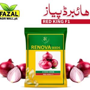 Renova Seed | Onion RED KING F1| 1kg