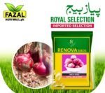 Onion Royal Selection Seeds in Pakistan