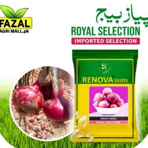 Renova Seed Onion | ROYAL SELECTION | 1kg