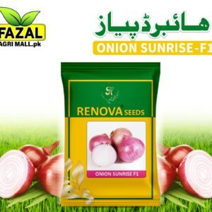 Renova Seed | Onion Sunrise F1 1kg
