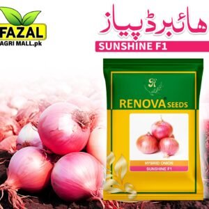Renova Seed / Onion Sunshine F1 / 1kg