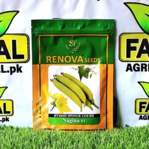 Hybrid Sponge Gourd | Nagina F1 |50g