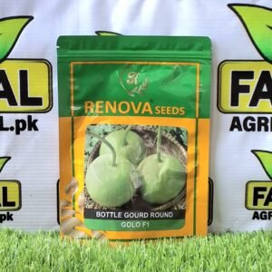 Bottle Gourd Round Golo F1| 50g