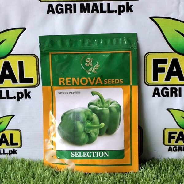 Buy Sweet Pepper Seeds in Pakistan