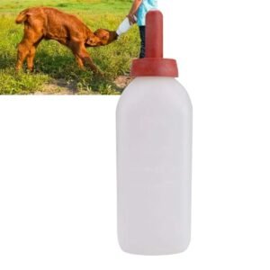 Calf Feeding Bottle